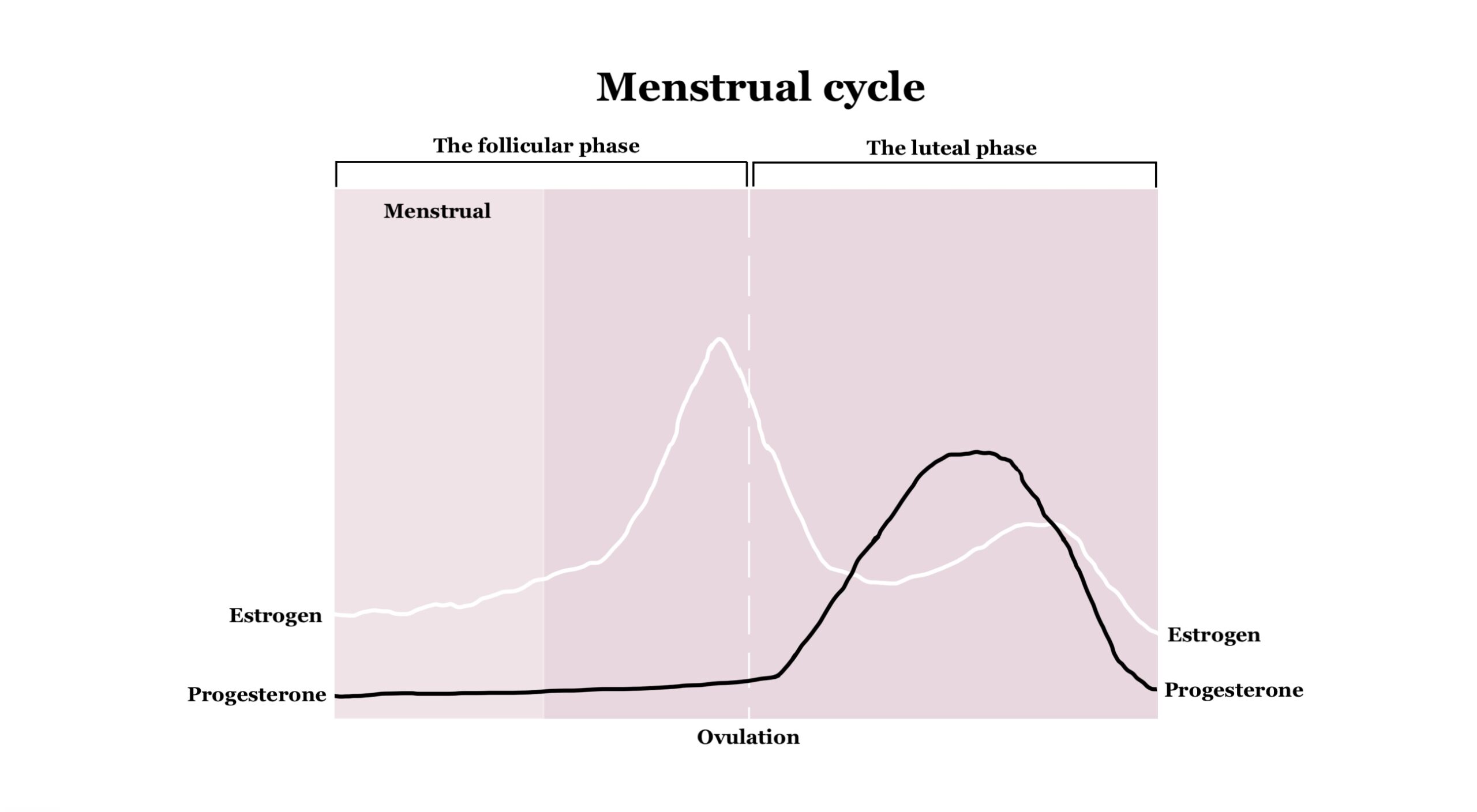 ADHD Medication Efficacy Is Linked To Your Menstrual Cycle ADDspeaker