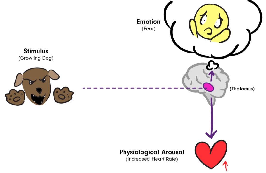 Theory: The Bayesian Brain Hypothesis Explained | ADDspeaker